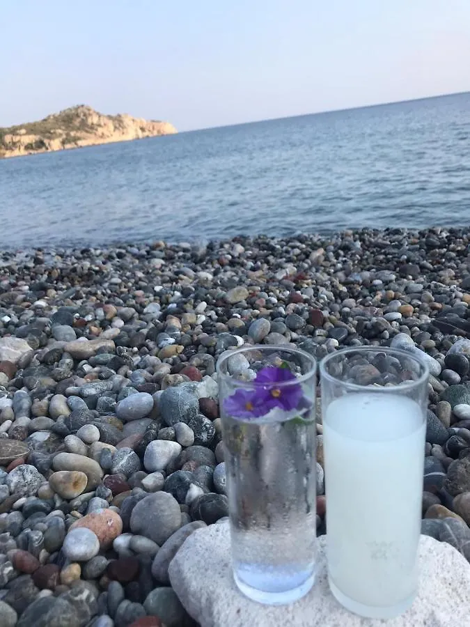 Melinda Pension & Restaurant Mesudiye
