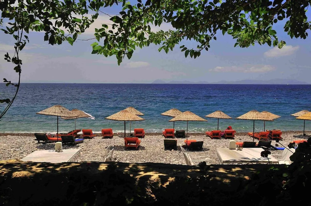 招待所 Melinda Pension & Restaurant Mesudiye  土耳其