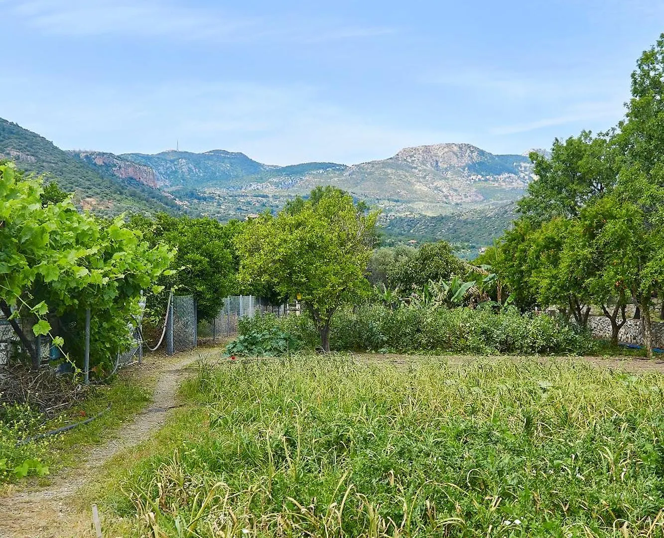 Melinda Pension & Restaurant Mesudiye  0*, Mesudiye (Datca) 土耳其