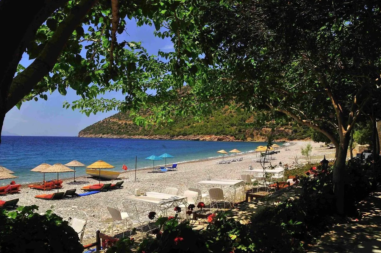 Melinda Pension & Restaurant Месудие